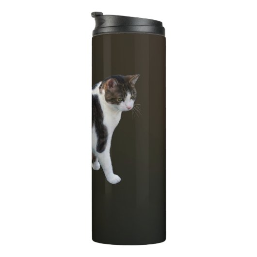 Bouteilles Isothermes Tabby Blanc Avec Patches Sombres (Tourné sur la droite)