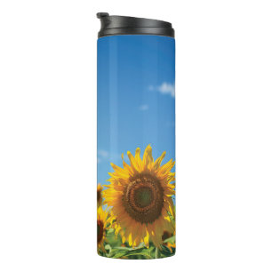 Bouteilles Isothermes Terrain de tournesol