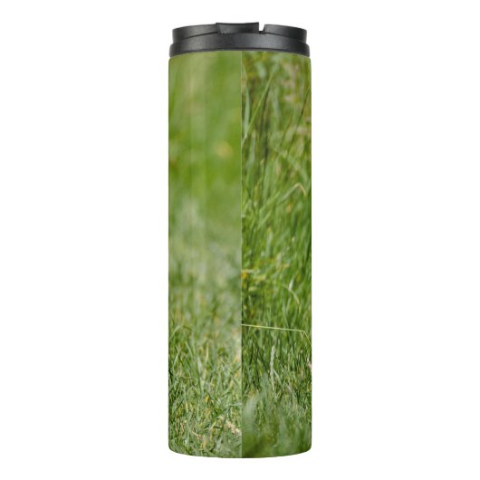 Bouteilles Isothermes Terrier Yorkshire mignon Traversant L'Herbe (Dos)