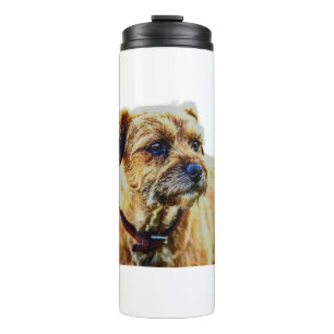 Bouteilles Isothermes Tervueren Border Terrier 