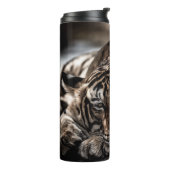 Bouteilles Isothermes Tigre de Ranthambore : gros plan. (Tourné sur la gauche)