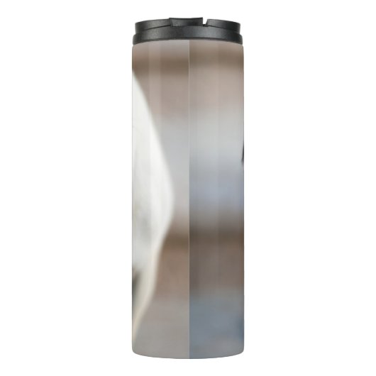 Bouteilles Isothermes Tillette Carlin (Dos)