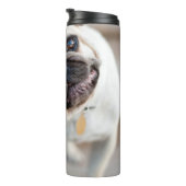 Bouteilles Isothermes Tillette Carlin (Tourné sur la droite)