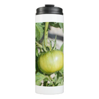 Bouteilles Isothermes Tomate mûrissant dans un verger