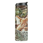 Bouteilles Isothermes Toony Fox (Tourné sur la gauche)