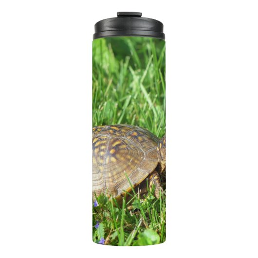 Bouteilles Isothermes Tortue (Devant)