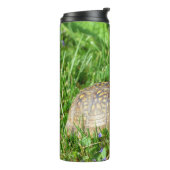 Bouteilles Isothermes Tortue (Tourné sur la gauche)