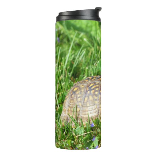 Bouteilles Isothermes Tortue (Tourné sur la gauche)