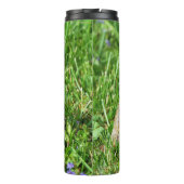 Bouteilles Isothermes Tortue (Dos)