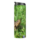 Bouteilles Isothermes Tortue (Tourné sur la droite)