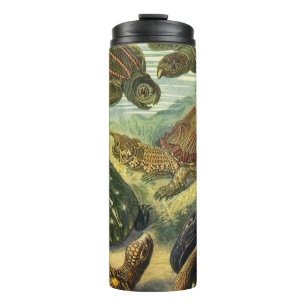 Bouteilles Isothermes Tortues terrestres et tortues marines vintage par 