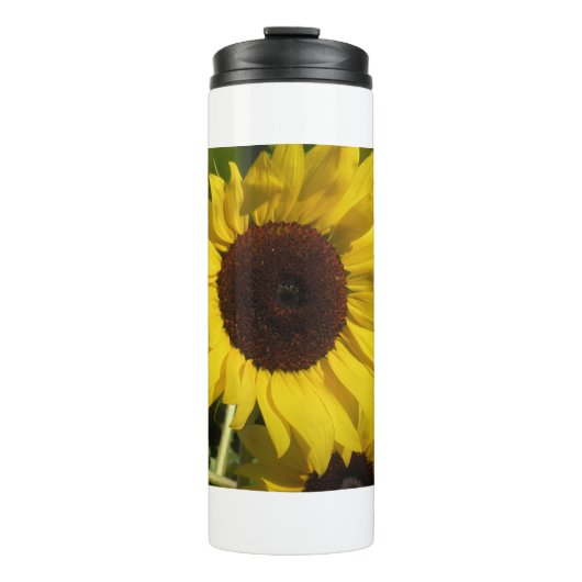 Bouteilles Isothermes Tournesol (Devant)