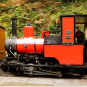 BOUTEILLES ISOTHERMES TRAINS À VAPEUR