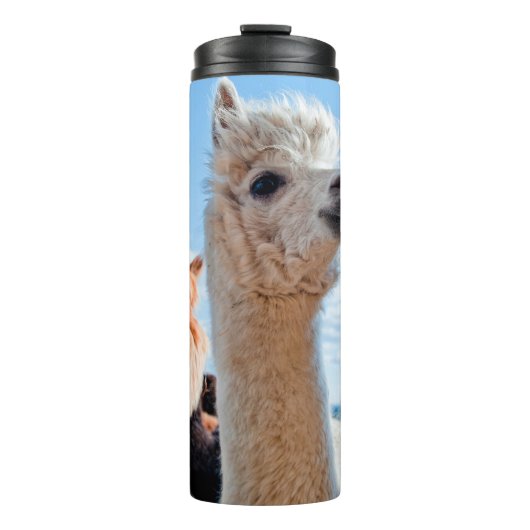 Bouteilles Isothermes Trois Alpacas drôles (Devant)
