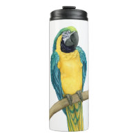 Turquoise Macaw