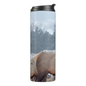 BOUTEILLES ISOTHERMES UN GROUPE DE DEERS (Tourné sur la gauche)