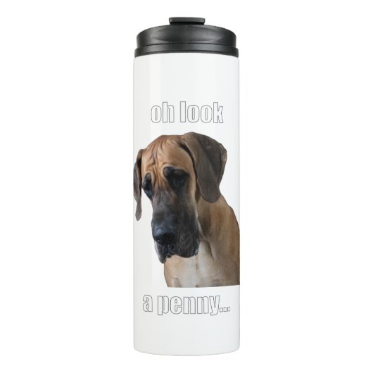 Bouteilles Isothermes Un penny... (Devant)