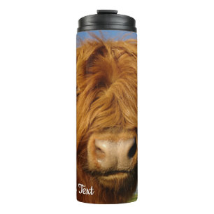 Bouteilles Isothermes Vache écossaise à boulettes - Ciel bleu