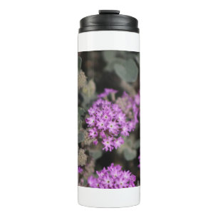 Bouteilles Isothermes Verveine violette Réserve faunique de Coachella Va