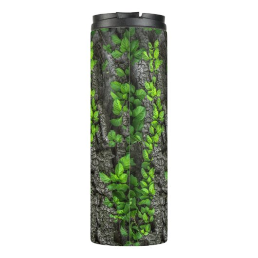 Bouteilles Isothermes Vin couvert d'écorce feuille vert brun (Dos)