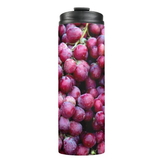 Bouteilles Isothermes Vins rouges (Devant)
