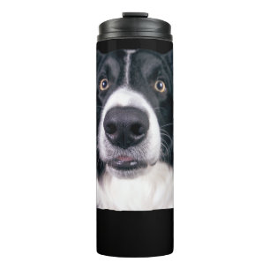 Bouteilles Isothermes Visage de Chien Noir et Blanc
