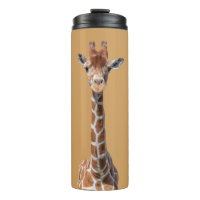 Visage mignon de girafe
