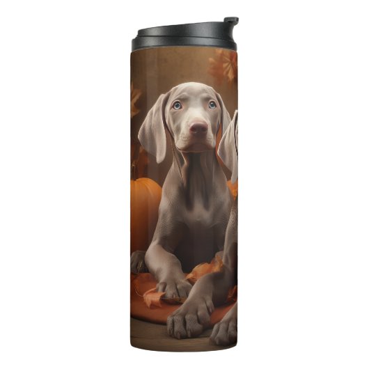 Bouteilles Isothermes Weimaraner Chiot Automne Citrouille délice (Tourné sur la gauche)