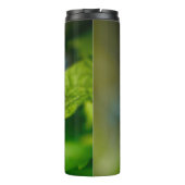 Bouteilles Isothermes White and Orange Striped Butterfly (Dos)