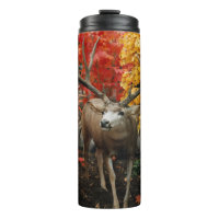 Whitetail En Automne