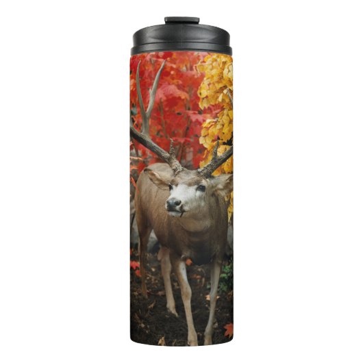 Bouteilles Isothermes Whitetail En Automne (Devant)