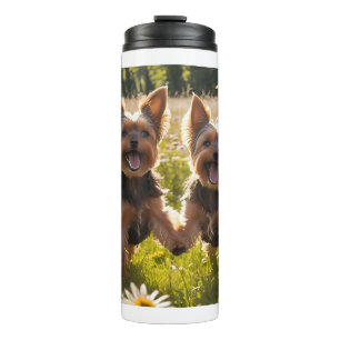 Bouteilles Isothermes Yorkshire Terriers Jouer dans l'herbe