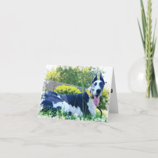 Bouteur la carte de voeux de chien de thérapie