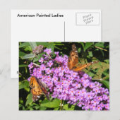 Boutiques aux papillons ~ carte postale (Devant / Derrière)