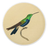 Bouton 1830 de tiroir de colibri de cru (Devant)