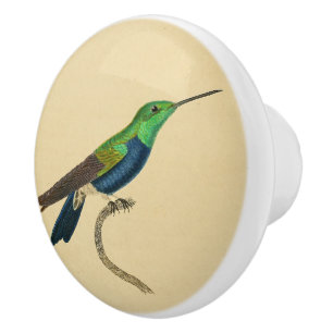 Bouton 1830 de tiroir de colibri de cru