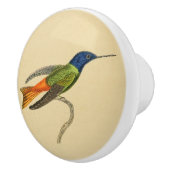 Bouton 1830 de tiroir de colibri de cru (Droite)