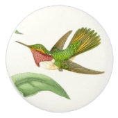 Bouton animal de faune d'oiseau de colibri (Devant)