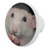 Bouton blanc de raboteuse de rat d'abruti (Droite)