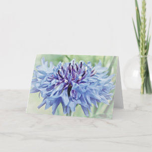 Bouton Bleu Bachelor Carte Nota blanche