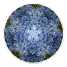 Bouton bleu de tiroir d'hortensia