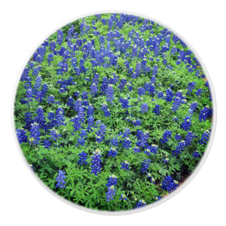 Bouton Bluebonnet