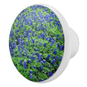 Bouton Bluebonnet (Droite)
