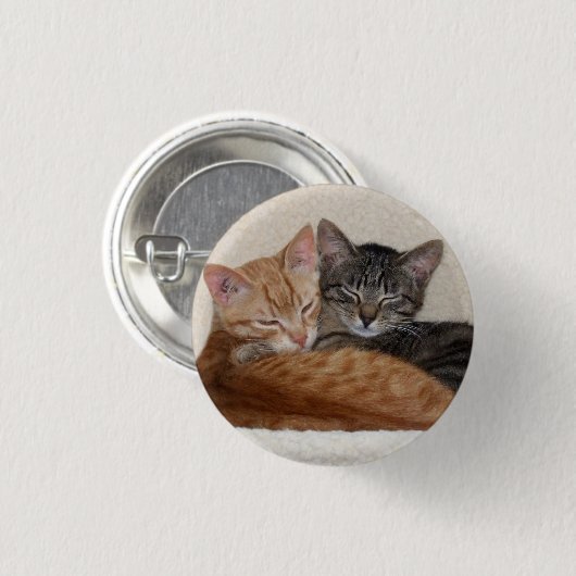 Bouton Cute Tabby Kittens / Badge (Devant & derrière)