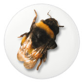 Bouton d'abeille de miel (Devant)