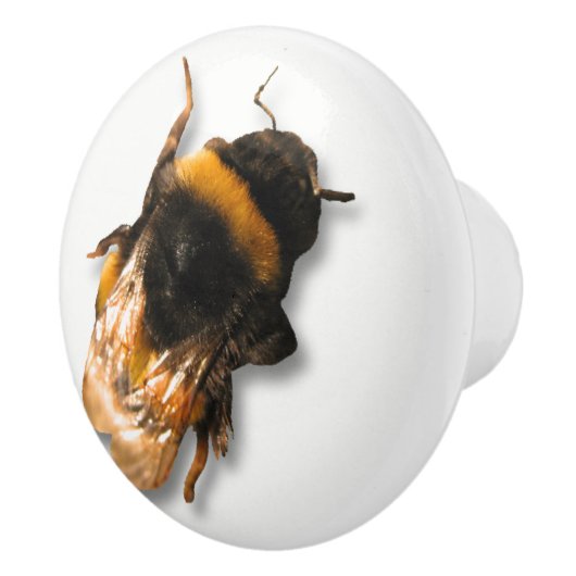 Bouton d'abeille de miel (Droite)