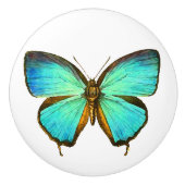 Bouton d'animal de faune d'insecte de papillon de (Devant)