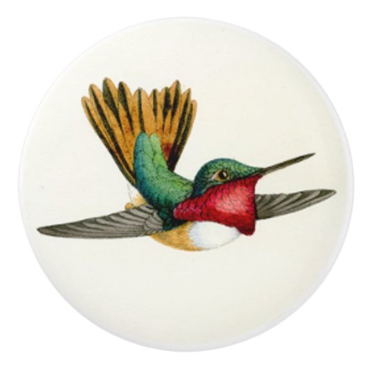 Bouton d'animal de faune d'oiseau de colibri (Devant)