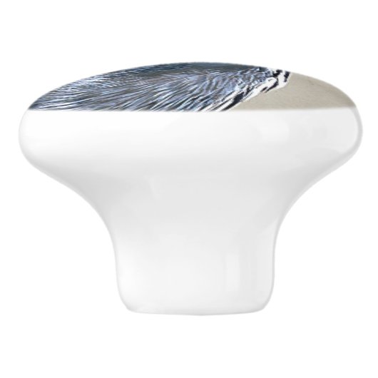 Bouton d'animal de faune d'oiseau de héron de (Côté)