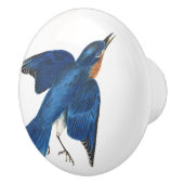 Bouton d'animal de faune d'oiseau d'oiseau bleu (Droite)